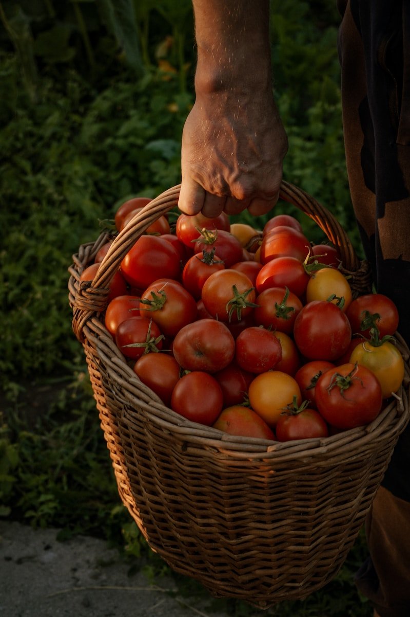Servicios agrícolas Cádiz