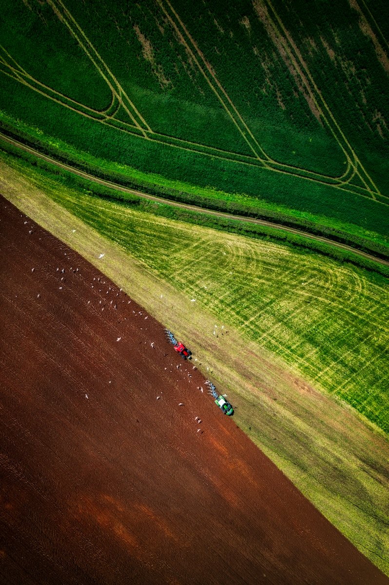 Servicios agrícolas Cádiz