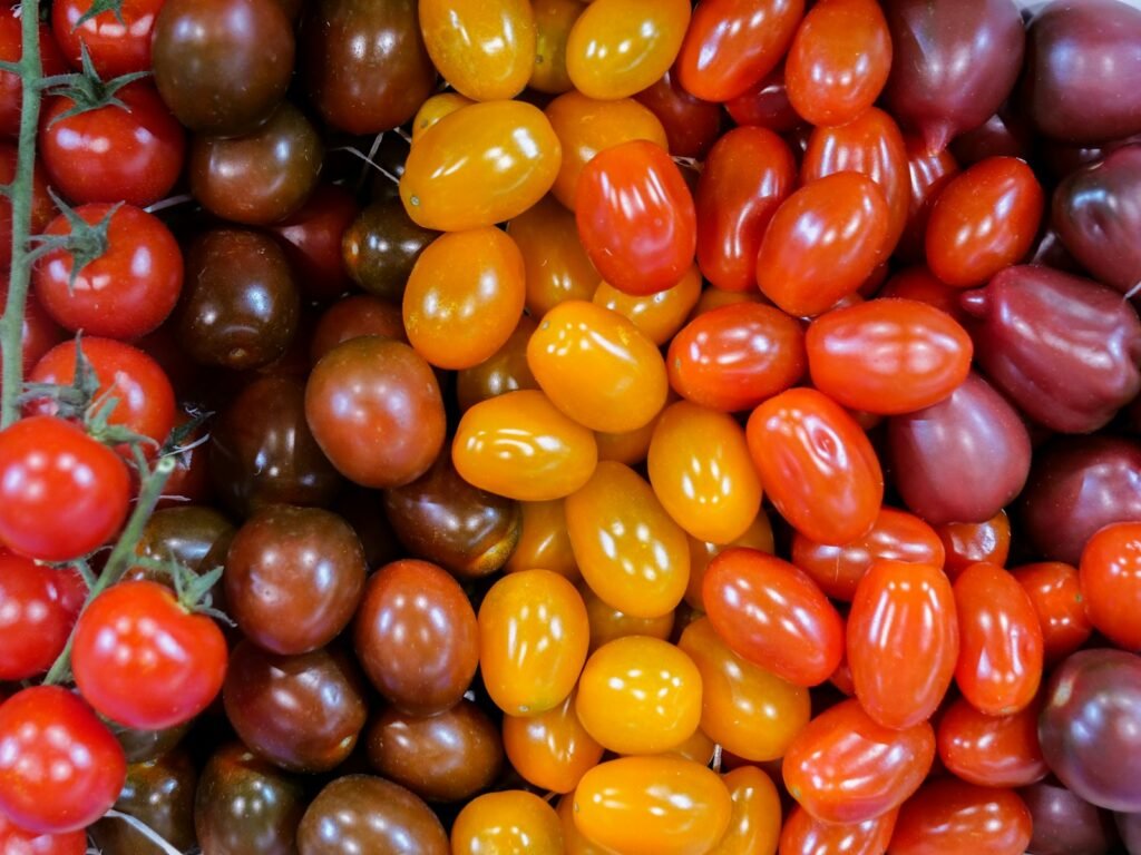 agrícola Vejer