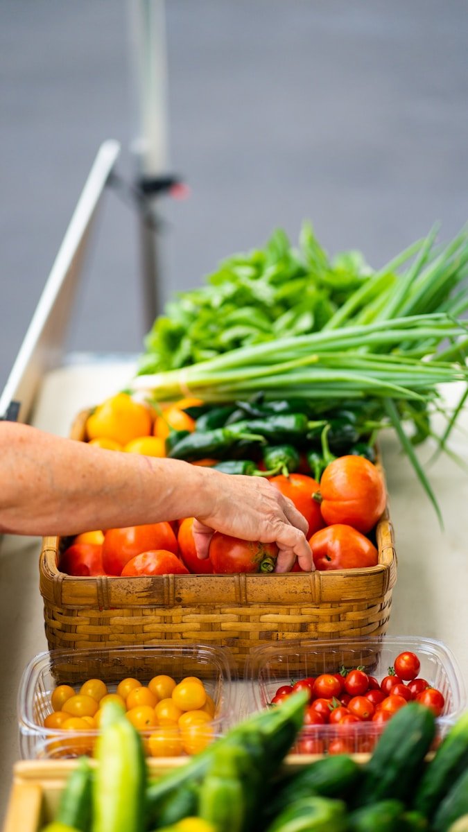 agrícola Vejer